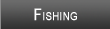 Rainy Lake Fishing